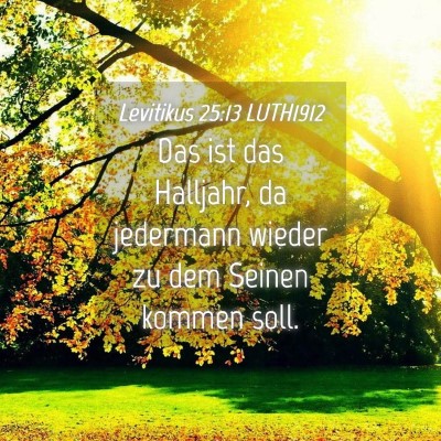 Picture 04 - Levitikus 25:13 LUTH1912 - Das ist das Halljahr, da jedermann wieder zu dem - Bible Verse Picture
