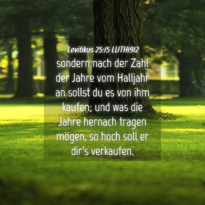 Picture 04 - Levitikus 25:15 LUTH1912 - sondern nach der Zahl der Jahre vom Halljahr an - Bible Verse Picture