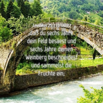 Picture 04 - Levitikus 25:3 LUTH1912 - daß du sechs Jahre dein Feld besäest und sechs - Bible Verse Picture