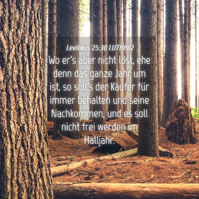 Picture 04 - Levitikus 25:30 LUTH1912 - Wo er's aber nicht löst, ehe denn das ganze Jahr - Bible Verse Picture