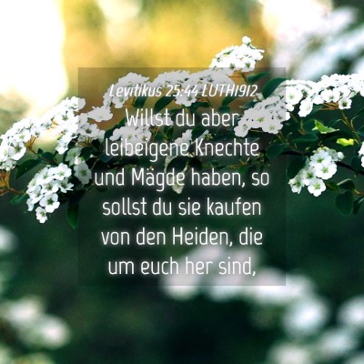 Picture 04 - Levitikus 25:44 LUTH1912 - Willst du aber leibeigene Knechte und Mägde - Bible Verse Picture
