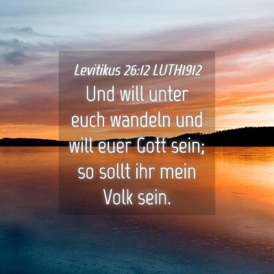 Picture 04 - Levitikus 26:12 LUTH1912 - Und will unter euch wandeln und will euer Gott - Bible Verse Picture