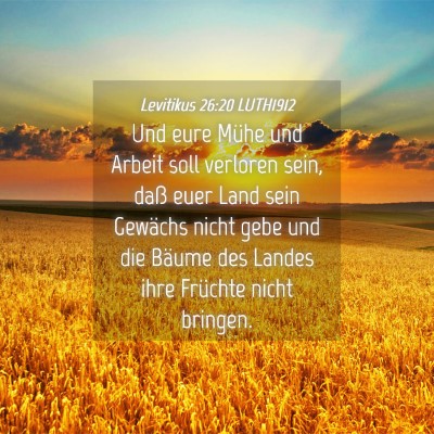 Picture 04 - Levitikus 26:20 LUTH1912 - Und eure Mühe und Arbeit soll verloren sein, - Bible Verse Picture