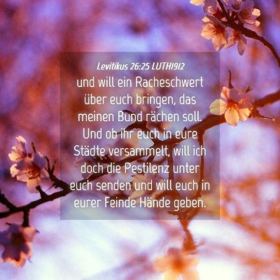 Picture 04 - Levitikus 26:25 LUTH1912 - und will ein Racheschwert über euch bringen, das - Bible Verse Picture