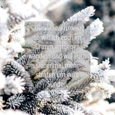 Picture 04 - Levitikus 26:28 LUTH1912 - so will ich euch im Grimm entgegen wandeln und - Bible Verse Picture