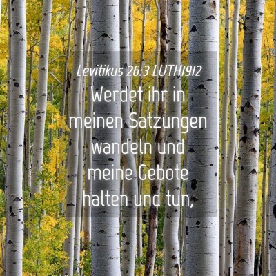 Picture 04 - Levitikus 26:3 LUTH1912 - Werdet ihr in meinen Satzungen wandeln und meine - Bible Verse Picture