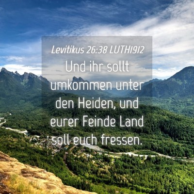 Picture 04 - Levitikus 26:38 LUTH1912 - Und ihr sollt umkommen unter den Heiden, und - Bible Verse Picture