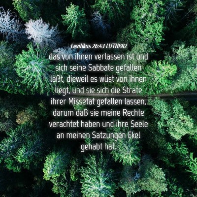 Picture 04 - Levitikus 26:43 LUTH1912 - das von ihnen verlassen ist und sich seine - Bible Verse Picture