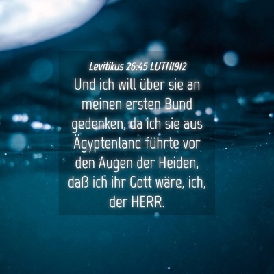 Picture 04 - Levitikus 26:45 LUTH1912 - Und ich will über sie an meinen ersten Bund - Bible Verse Picture