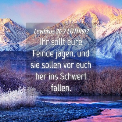 Picture 04 - Levitikus 26:7 LUTH1912 - Ihr sollt eure Feinde jagen, und sie sollen vor - Bible Verse Picture