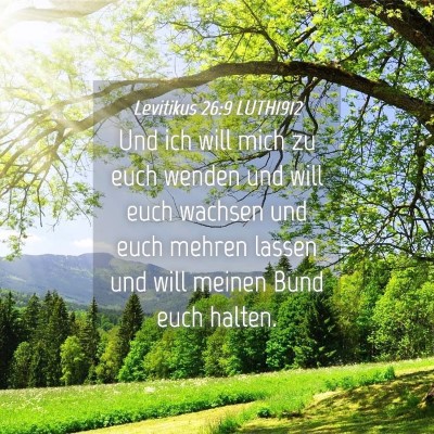 Picture 04 - Levitikus 26:9 LUTH1912 - Und ich will mich zu euch wenden und will euch - Bible Verse Picture