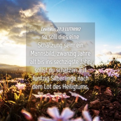Picture 04 - Levitikus 27:3 LUTH1912 - so soll dies eine Schätzung sein: ein Mannsbild, - Bible Verse Picture