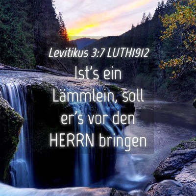 Picture 04 - Levitikus 3:7 LUTH1912 - Ist's ein Lämmlein, soll er's vor den HERRN - Bible Verse Picture