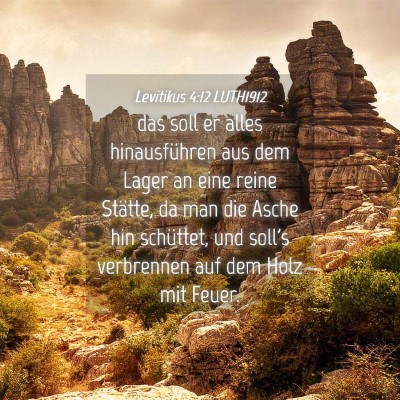 Picture 04 - Levitikus 4:12 LUTH1912 - das soll er alles hinausführen aus dem Lager an - Bible Verse Picture