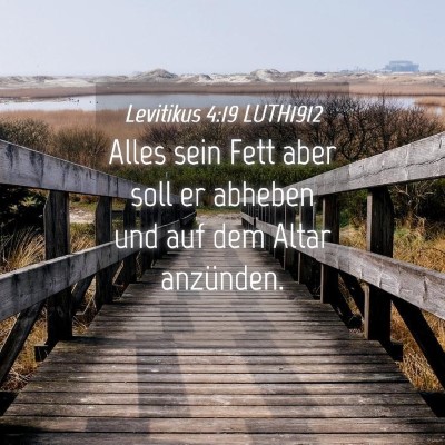 Picture 04 - Levitikus 4:19 LUTH1912 - Alles sein Fett aber soll er abheben und auf dem - Bible Verse Picture