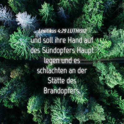 Picture 04 - Levitikus 4:29 LUTH1912 - und soll ihre Hand auf des Sündopfers Haupt - Bible Verse Picture