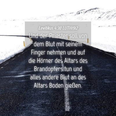 Picture 04 - Levitikus 4:30 LUTH1912 - Und der Priester soll von dem Blut mit seinem - Bible Verse Picture