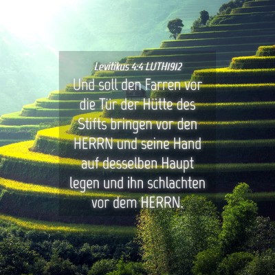Picture 04 - Levitikus 4:4 LUTH1912 - Und soll den Farren vor die Tür der Hütte des - Bible Verse Picture