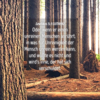 Picture 04 - Levitikus 5:3 LUTH1912 - Oder wenn er einen unreinen Menschen anrührt, in - Bible Verse Picture