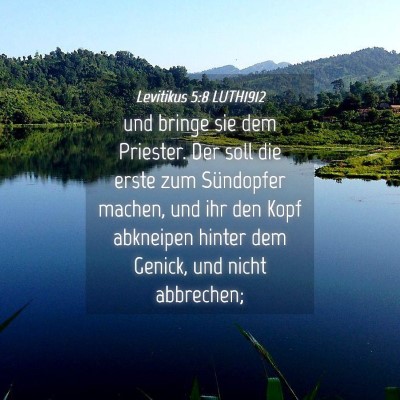 Picture 04 - Levitikus 5:8 LUTH1912 - und bringe sie dem Priester. Der soll die erste - Bible Verse Picture