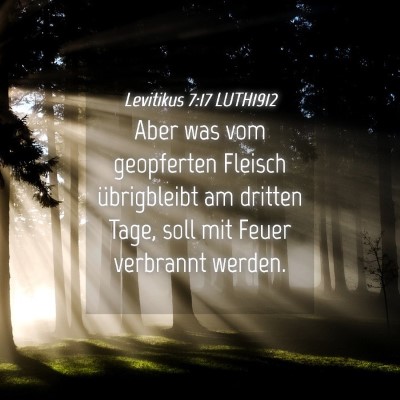 Picture 04 - Levitikus 7:17 LUTH1912 - Aber was vom geopferten Fleisch übrigbleibt am - Bible Verse Picture