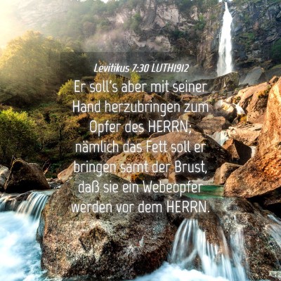 Picture 04 - Levitikus 7:30 LUTH1912 - Er soll's aber mit seiner Hand herzubringen zum - Bible Verse Picture