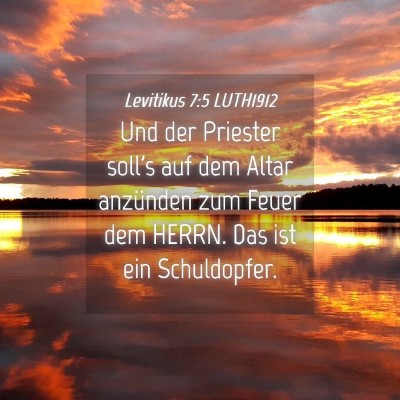 Picture 04 - Levitikus 7:5 LUTH1912 - Und der Priester soll's auf dem Altar anzünden - Bible Verse Picture