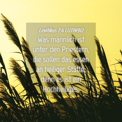Picture 04 - Levitikus 7:6 LUTH1912 - Was männlich ist unter den Priestern, die sollen - Bible Verse Picture