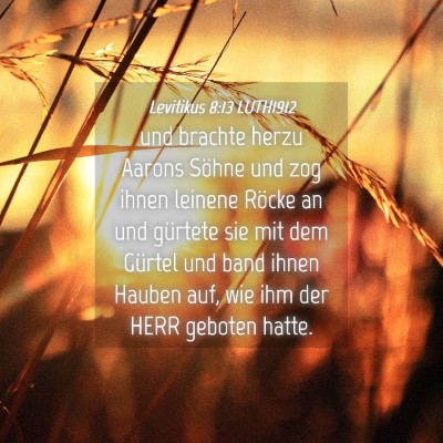 Picture 04 - Levitikus 8:13 LUTH1912 - und brachte herzu Aarons Söhne und zog ihnen - Bible Verse Picture
