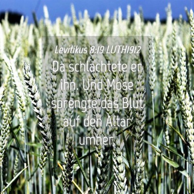 Picture 04 - Levitikus 8:19 LUTH1912 - Da schlachtete er ihn. Und Mose sprengte das Blut - Bible Verse Picture