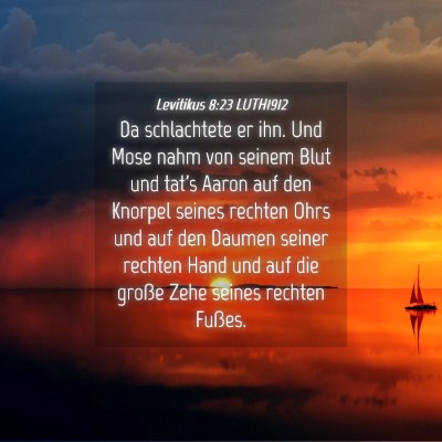 Picture 04 - Levitikus 8:23 LUTH1912 - Da schlachtete er ihn. Und Mose nahm von seinem - Bible Verse Picture