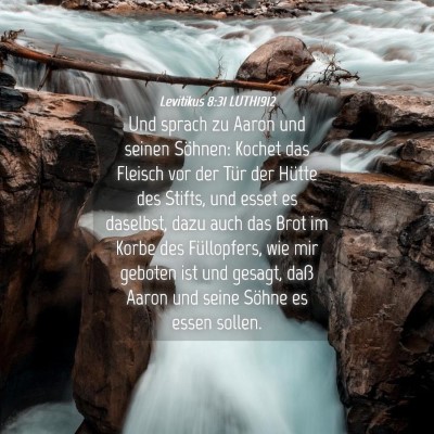 Picture 04 - Levitikus 8:31 LUTH1912 - Und sprach zu Aaron und seinen Söhnen: Kochet - Bible Verse Picture