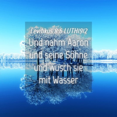 Picture 04 - Levitikus 8:6 LUTH1912 - Und nahm Aaron und seine Söhne und wusch sie mit - Bible Verse Picture