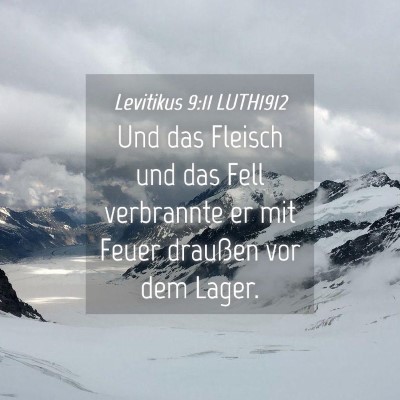 Picture 04 - Levitikus 9:11 LUTH1912 - Und das Fleisch und das Fell verbrannte er mit - Bible Verse Picture