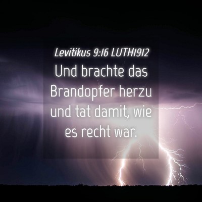 Picture 04 - Levitikus 9:16 LUTH1912 - Und brachte das Brandopfer herzu und tat damit, - Bible Verse Picture
