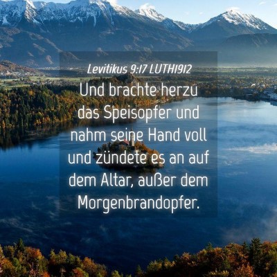 Picture 04 - Levitikus 9:17 LUTH1912 - Und brachte herzu das Speisopfer und nahm seine - Bible Verse Picture