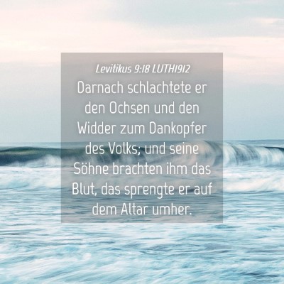 Picture 04 - Levitikus 9:18 LUTH1912 - Darnach schlachtete er den Ochsen und den Widder - Bible Verse Picture