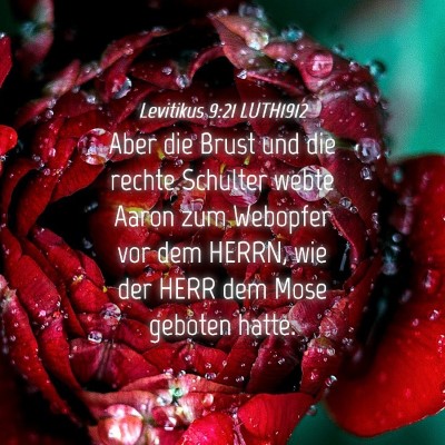 Picture 04 - Levitikus 9:21 LUTH1912 - Aber die Brust und die rechte Schulter webte - Bible Verse Picture