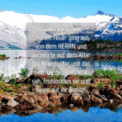 Picture 04 - Levitikus 9:24 LUTH1912 - Und ein Feuer ging aus von dem HERRN und - Bible Verse Picture