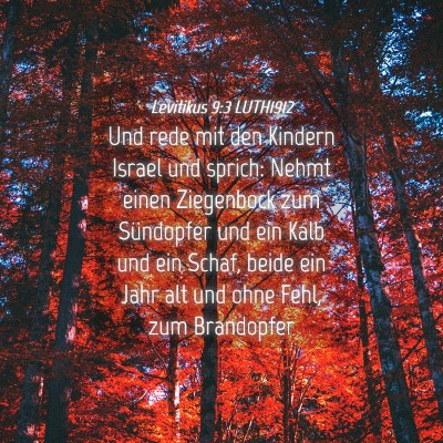 Picture 04 - Levitikus 9:3 LUTH1912 - Und rede mit den Kindern Israel und sprich: Nehmt - Bible Verse Picture