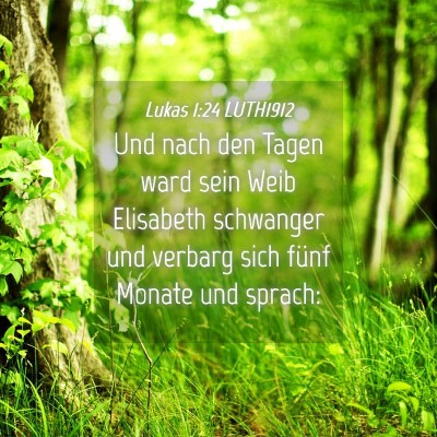 Picture 04 - Lukas 1:24 LUTH1912 - Und nach den Tagen ward sein Weib Elisabeth - Bible Verse Picture