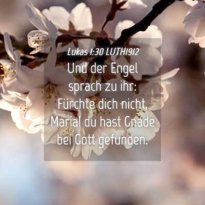 Picture 04 - Lukas 1:30 LUTH1912 - Und der Engel sprach zu ihr: Fürchte dich nicht, - Bible Verse Picture