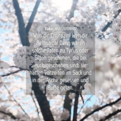 Picture 04 - Lukas 10:13 LUTH1912 - Weh dir Chorazin! Weh dir Bethsaida! Denn wären - Bible Verse Picture