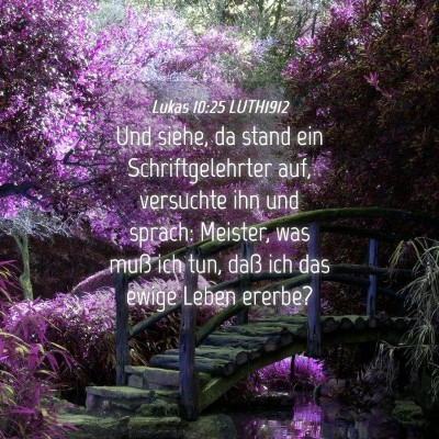 Picture 04 - Lukas 10:25 LUTH1912 - Und siehe, da stand ein Schriftgelehrter auf, - Bible Verse Picture