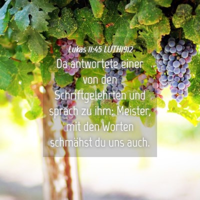 Picture 04 - Lukas 11:45 LUTH1912 - Da antwortete einer von den Schriftgelehrten und - Bible Verse Picture