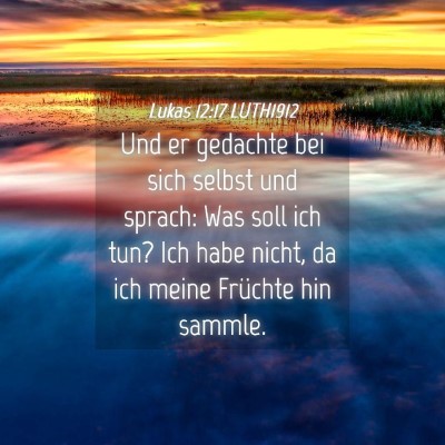 Picture 04 - Lukas 12:17 LUTH1912 - Und er gedachte bei sich selbst und sprach: Was - Bible Verse Picture