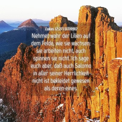 Picture 04 - Lukas 12:27 LUTH1912 - Nehmet wahr der Lilien auf dem Felde, wie sie - Bible Verse Picture