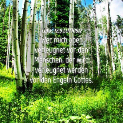 Picture 04 - Lukas 12:9 LUTH1912 - Wer mich aber verleugnet vor den Menschen, der - Bible Verse Picture