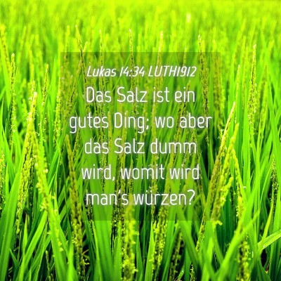 Picture 04 - Lukas 14:34 LUTH1912 - Das Salz ist ein gutes Ding; wo aber das Salz - Bible Verse Picture