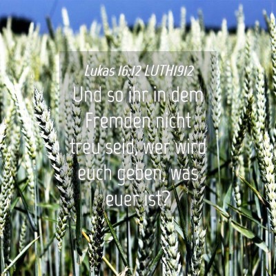 Picture 04 - Lukas 16:12 LUTH1912 - Und so ihr in dem Fremden nicht treu seid, wer - Bible Verse Picture